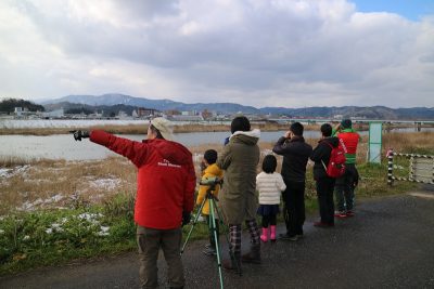 2月野鳥観察１