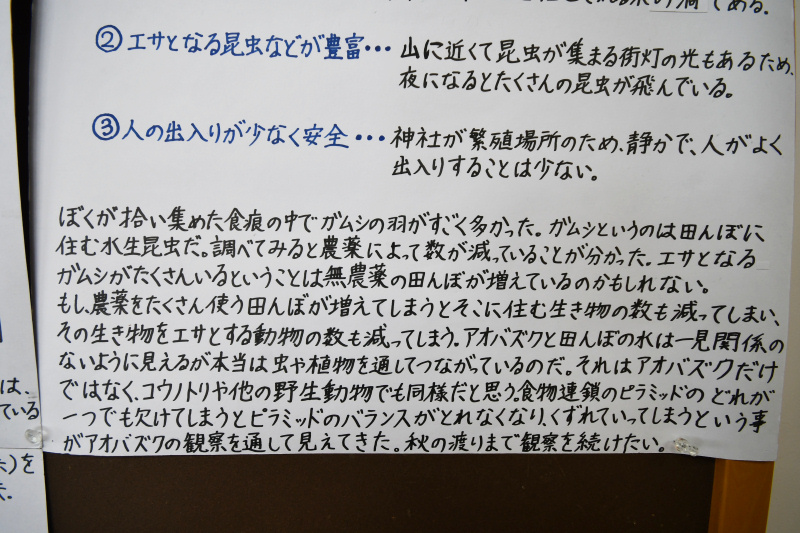 aobazuku180212-3