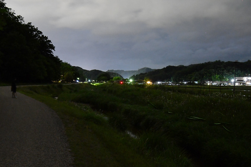 hotaru190614-3