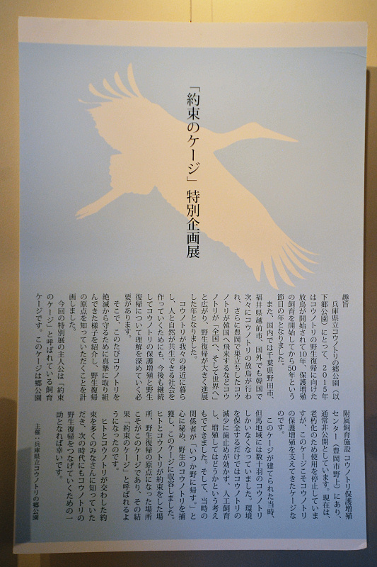 kikaku160221-2