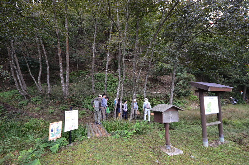 kinoko151012-2