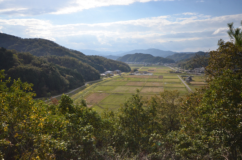 kinoko151012-7
