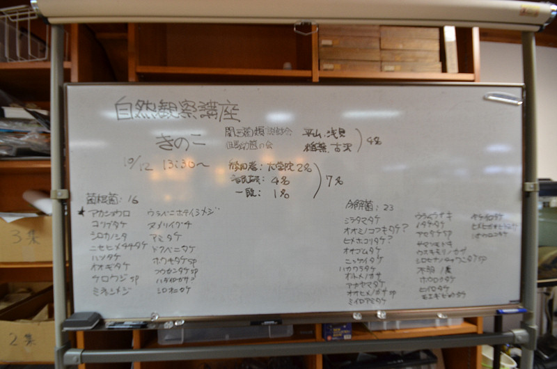 kinoko151012-9
