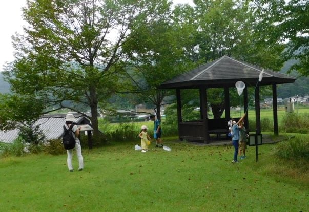 konchu200813-2