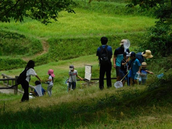 konchu200813-3