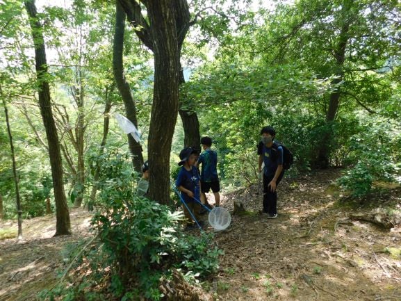 konchu200813-4