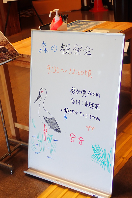 morikansatu200812-1