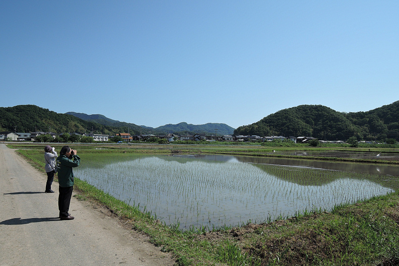 natudori150521-3