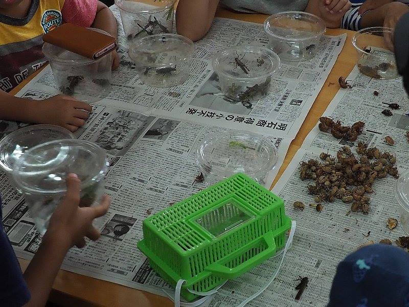 satoyamatanken170730-4