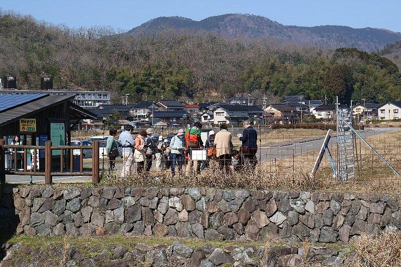 shokubutu190224-1