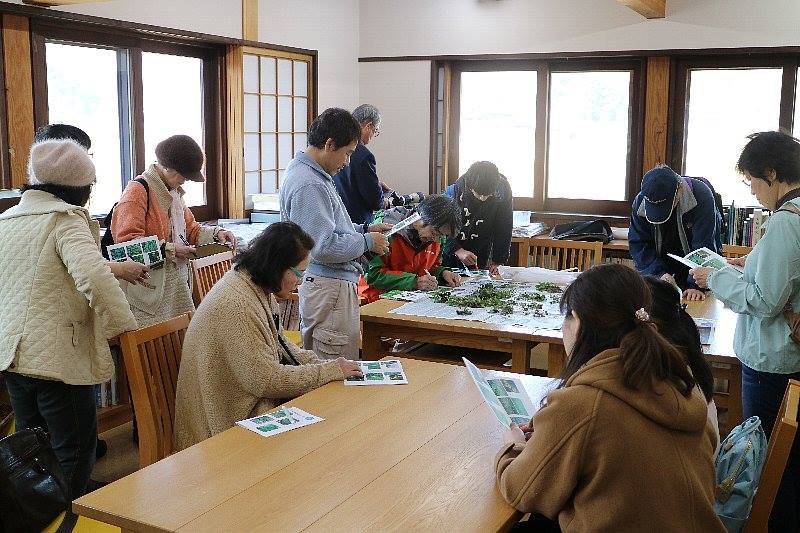 shokubutu190224-3