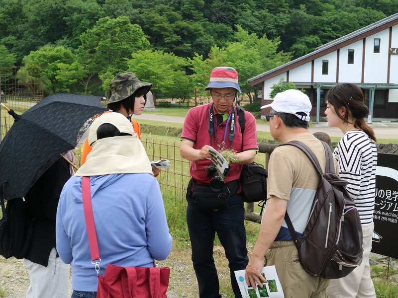 shokubutu190526-1