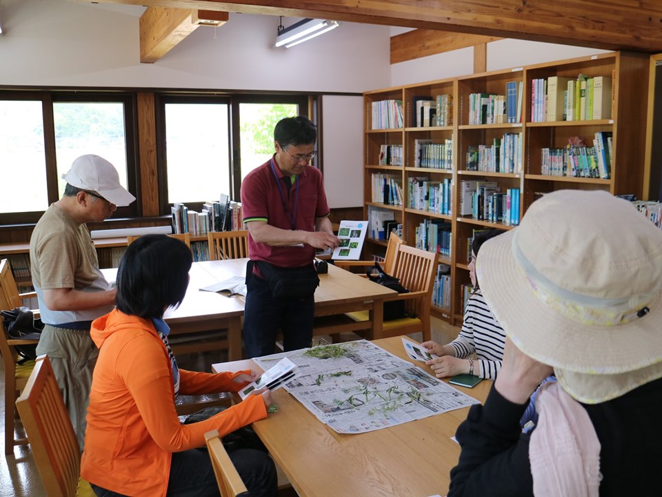 shokubutu190526-6