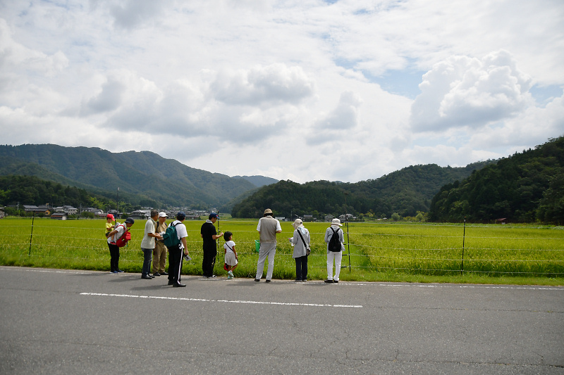 shokubutu190825-3
