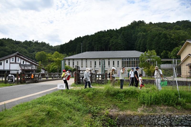 shokubutu190825-4