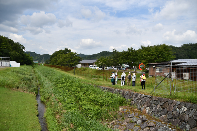 shokubutu190825-5