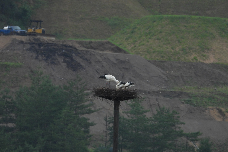 sizenkansatu200614-11