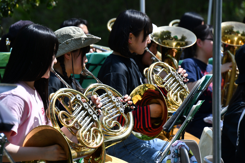 soundstork190505-6