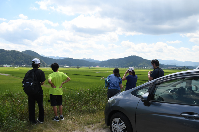 suto200815-1