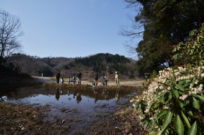 tanbo150315-1