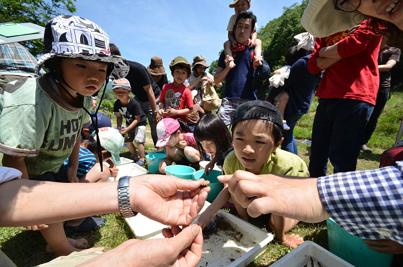 tanbo150517-5