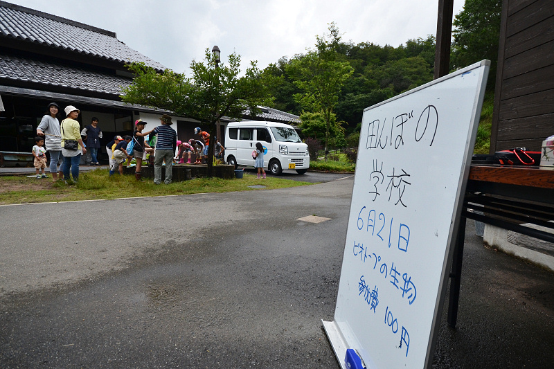 tanbo150621-1