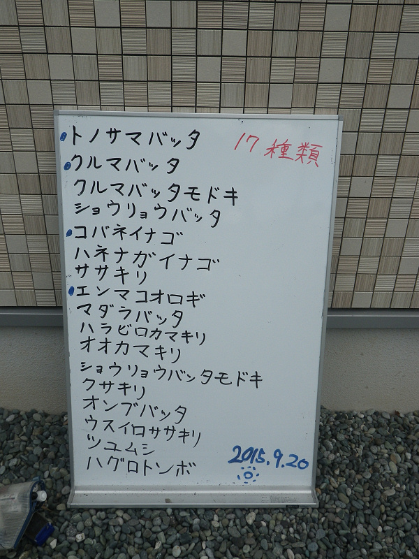 tanbo150920-5