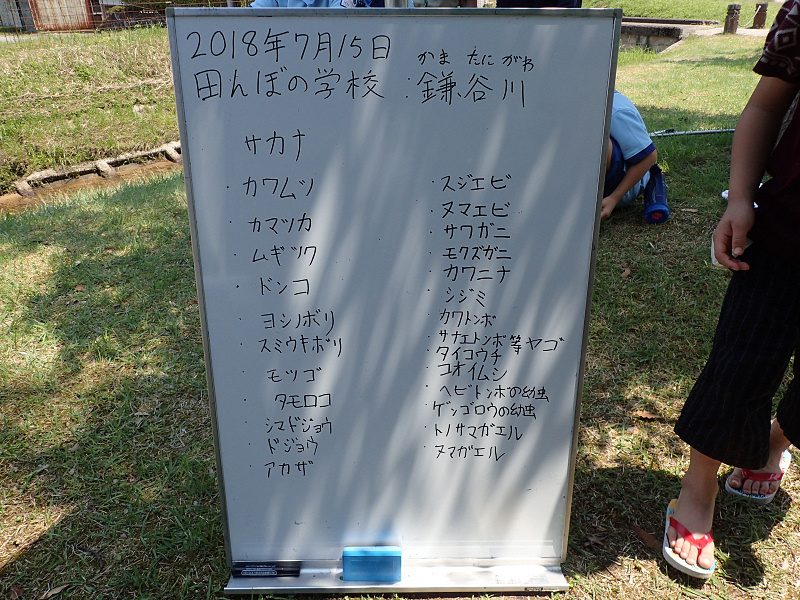tanbo180715-8