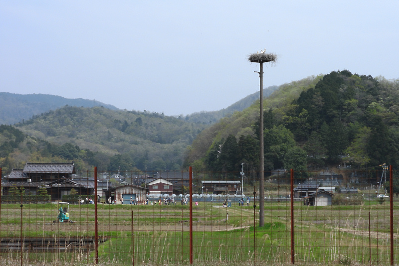 tanbo190421-2
