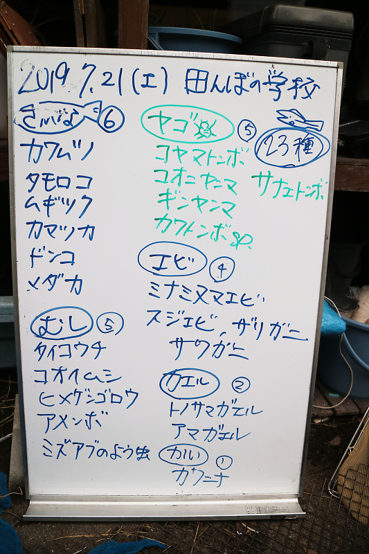 tanbo190721-7