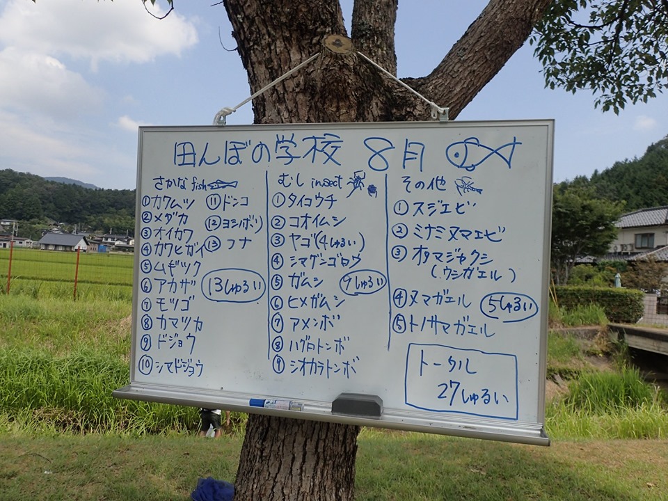 tanbo190818-4
