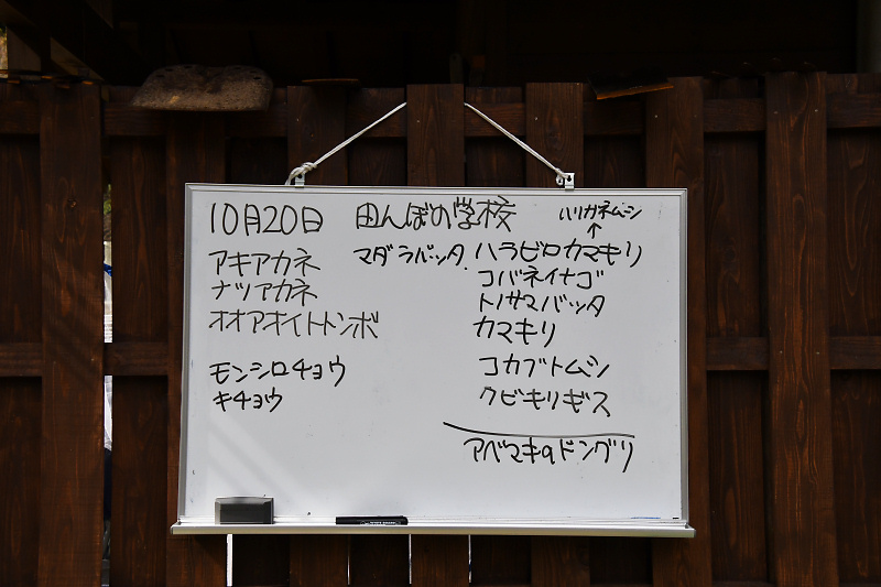 tanbo191020-10