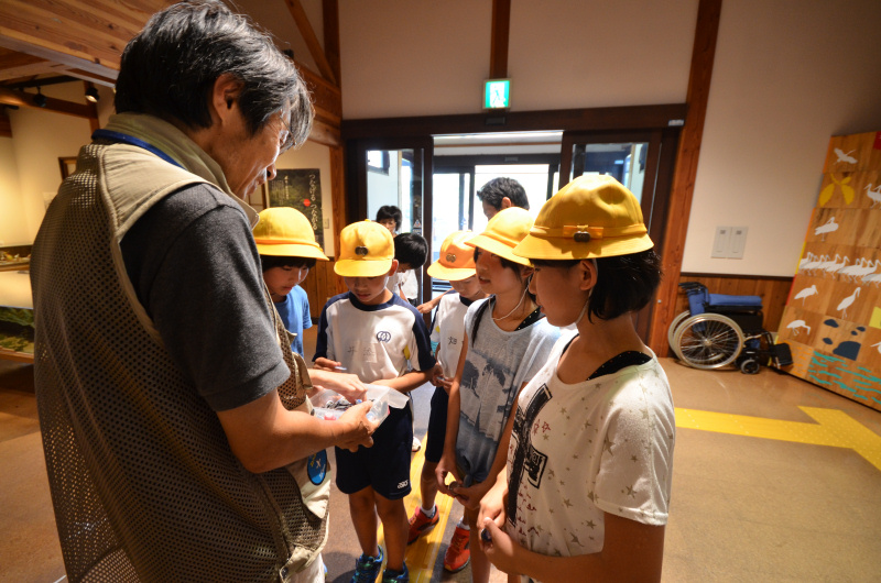tazuruno150724-2
