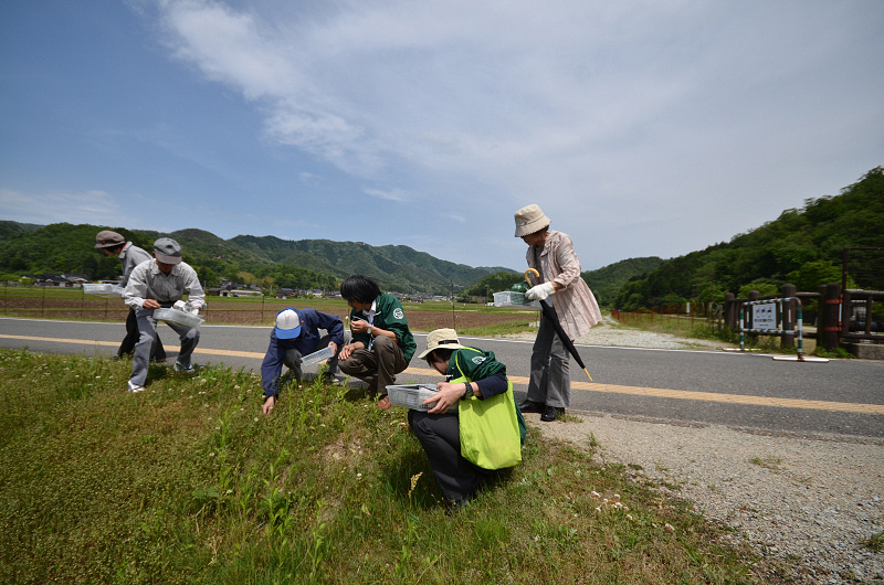 zasso150514-1