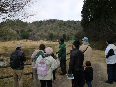 植物観察会1月度３
