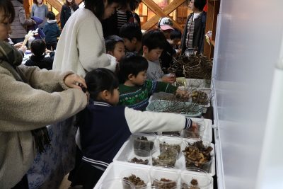 田んぼ200119 (2)