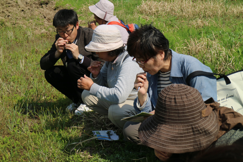 観察会２