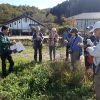 菅村先生の植物観察会１０月度（実施報告）