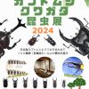 企画展「カブトムシ　クワガタ昆虫展」　<font color=red>New!</font>