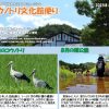 文化館だより2025年8月号<font color=red>New!</font>